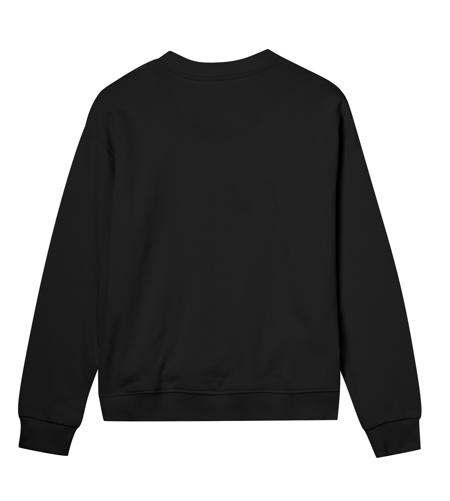 Womens Regular Sweatshirt - Home made