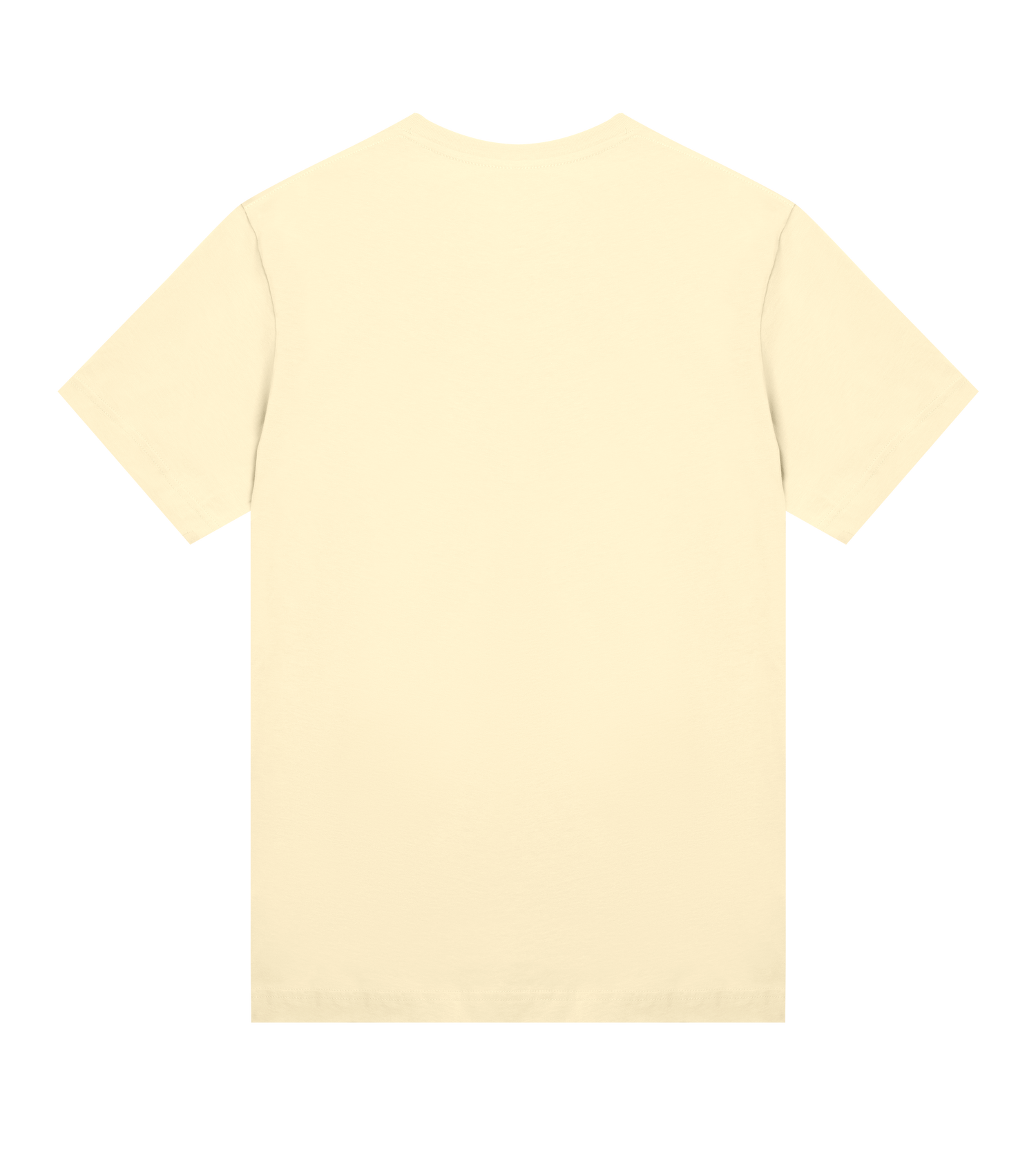 Womens Regular Tee - Home made